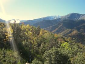 photo coins arrondis