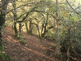 photo coins arrondis