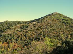 photo coins arrondis