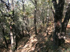 photo coins arrondis