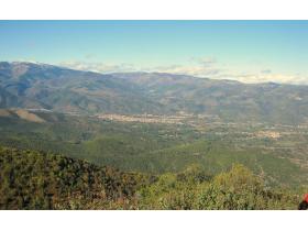 photo coins arrondis