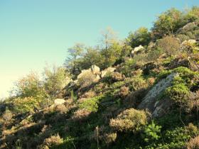 photo coins arrondis