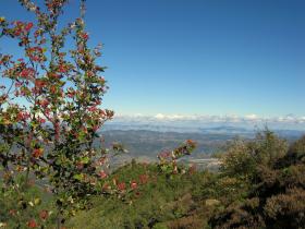 photo coins arrondis