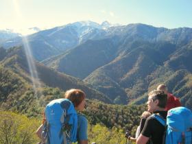 photo coins arrondis