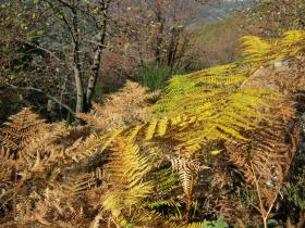 photo coins arrondis