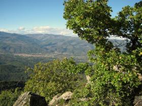 photo coins arrondis