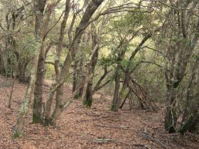 photo coins arrondis