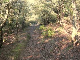 photo coins arrondis