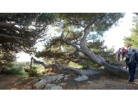 photo coins arrondis