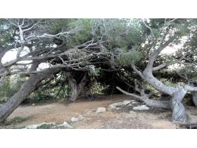 photo coins arrondis