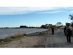 photo coins arrondis