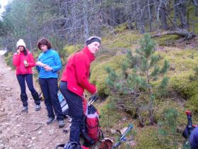 photo coins arrondis