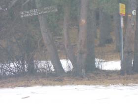 photo coins arrondis