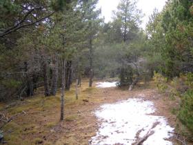 photo coins arrondis