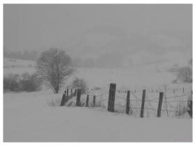 photo coins arrondis