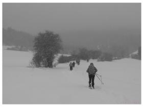 photo coins arrondis