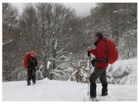 photo coins arrondis