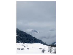 photo coins arrondis