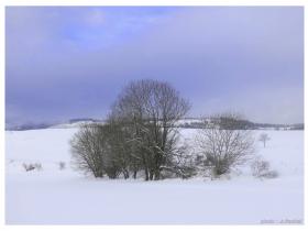 photo coins arrondis