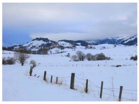 photo coins arrondis