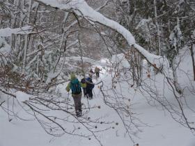 photo coins arrondis