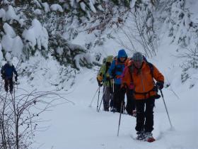 photo coins arrondis