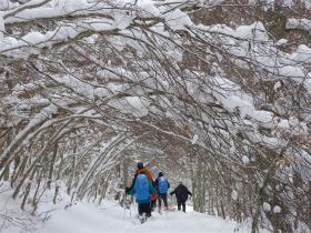 photo coins arrondis