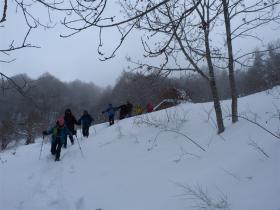 photo coins arrondis