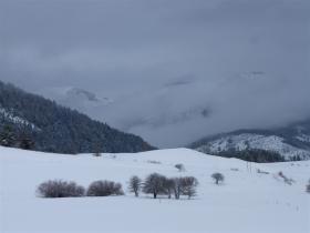 photo coins arrondis