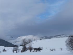 photo coins arrondis