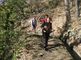 photo coins arrondis