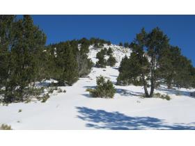 photo coins arrondis