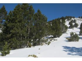 photo coins arrondis