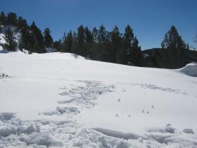 photo coins arrondis