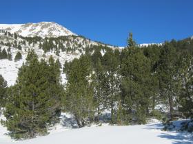 photo coins arrondis