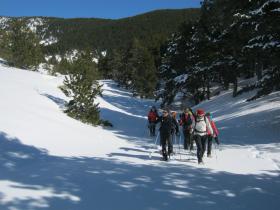 photo coins arrondis