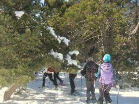 photo coins arrondis