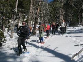 photo coins arrondis