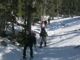 photo coins arrondis