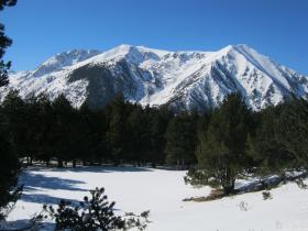 photo coins arrondis