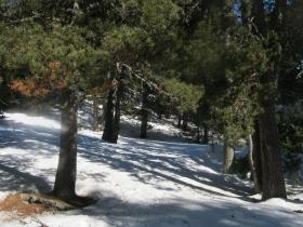 photo coins arrondis