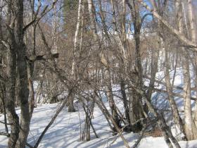 photo coins arrondis