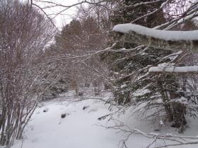 photo coins arrondis