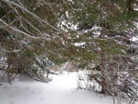 photo coins arrondis