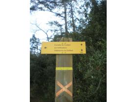 photo coins arrondis