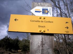 photo coins arrondis