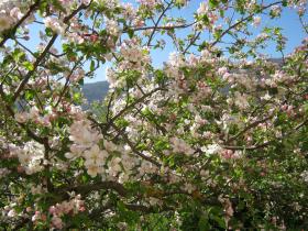 photo coins arrondis