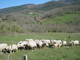 photo coins arrondis