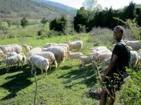 photo coins arrondis