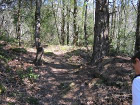 photo coins arrondis